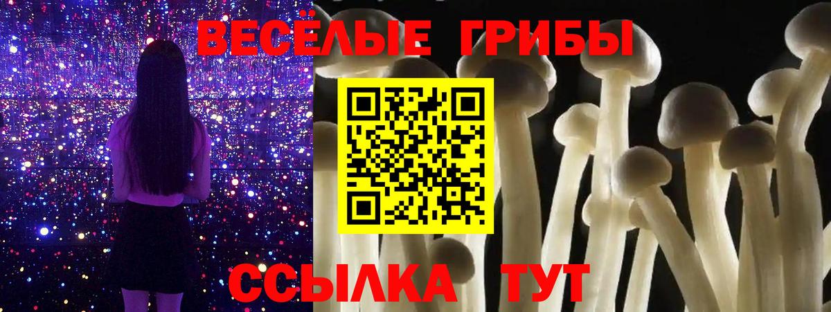 Вязники  Псилоцибиновые грибы MAGIC MUSHROOMS  Вход с VPN 